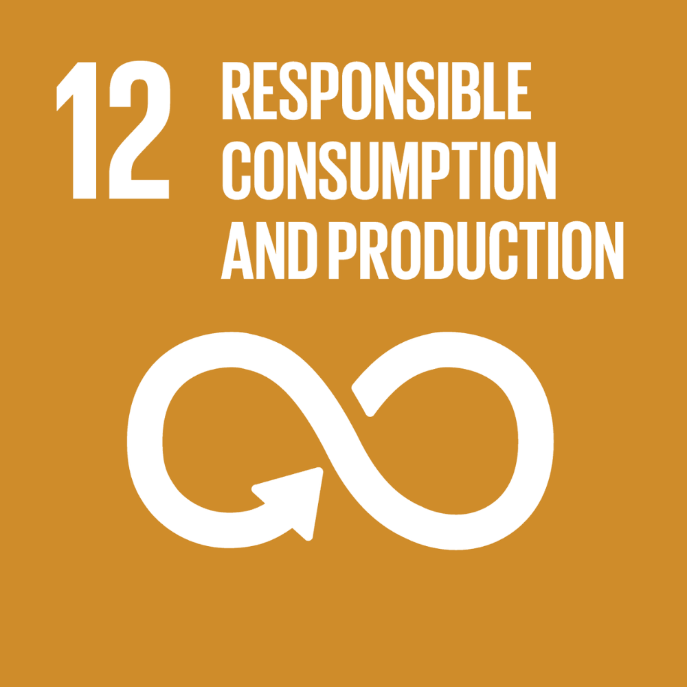 Logo for sustainable development goal 12