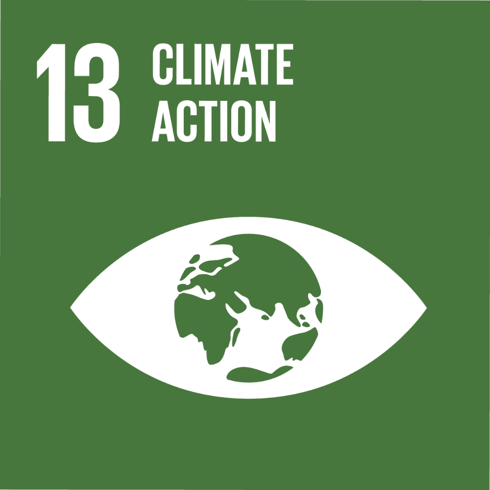Logo for SDG 13