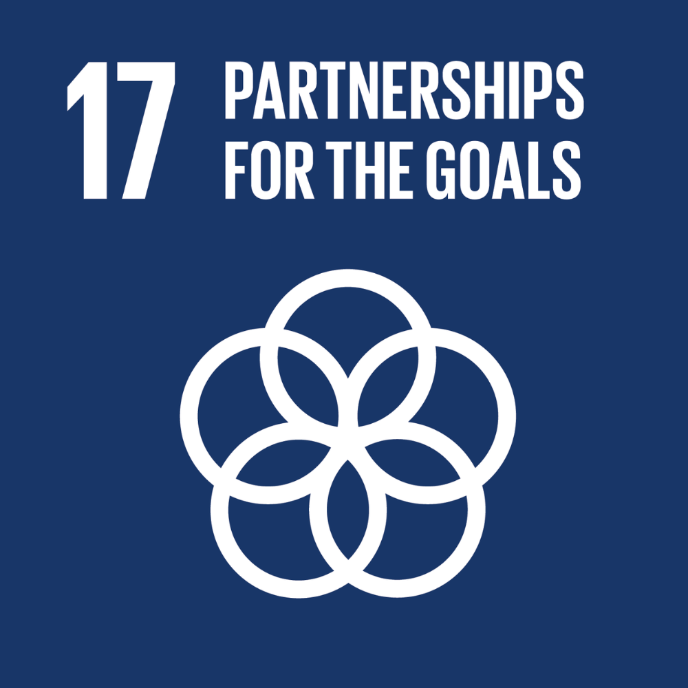 Logo for SDG 17